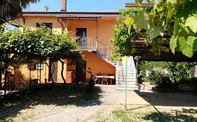 Apartman Violeta